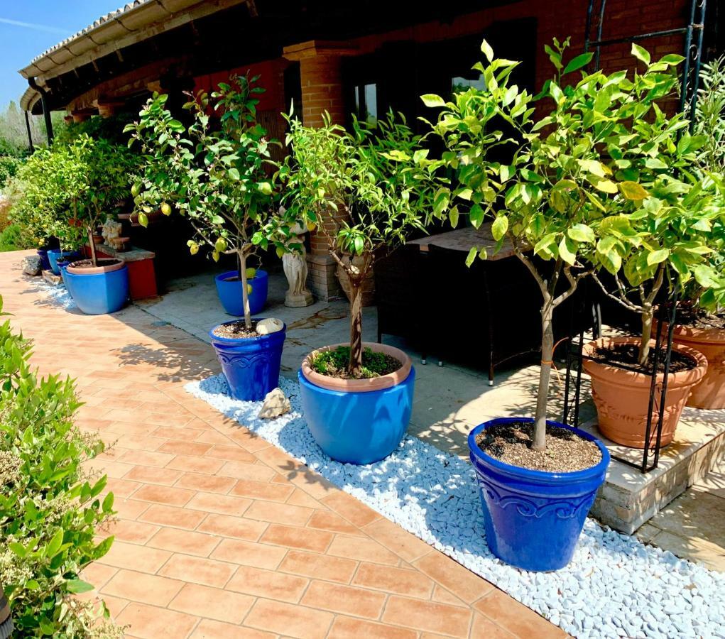 Villa Antares Pesaro Exterior foto